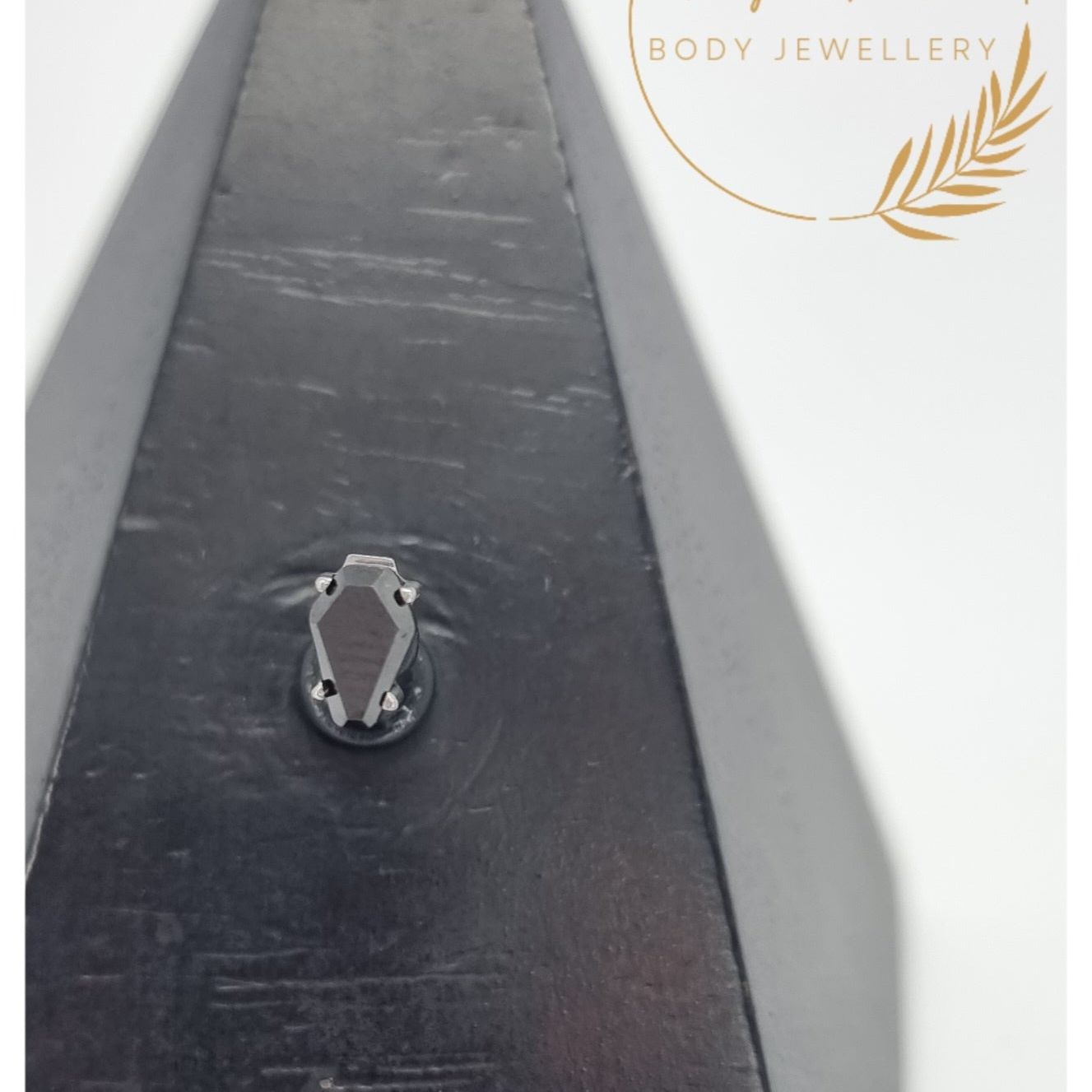 Black Crystal Coffin