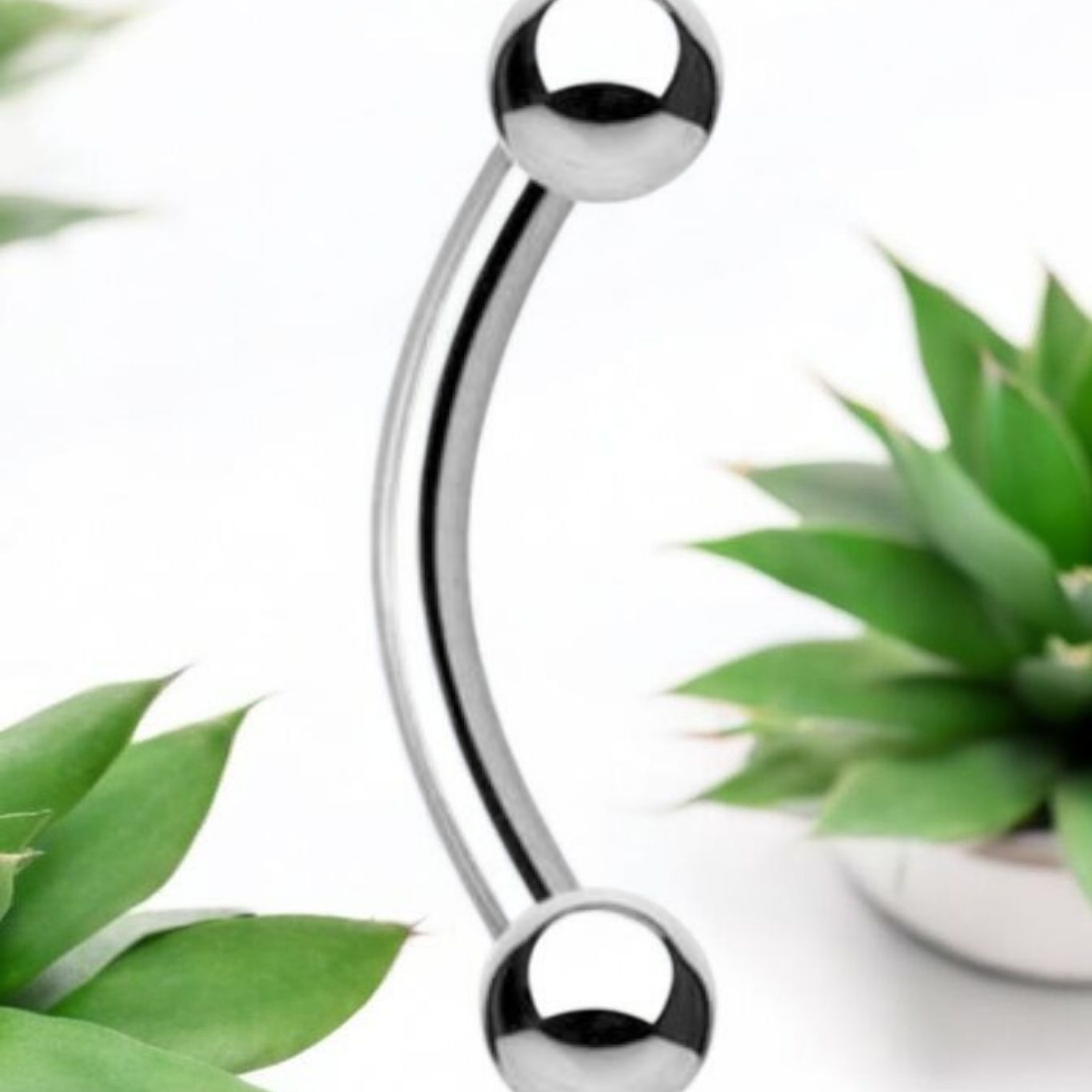 Classic Ball Titanium Curved Barbell.