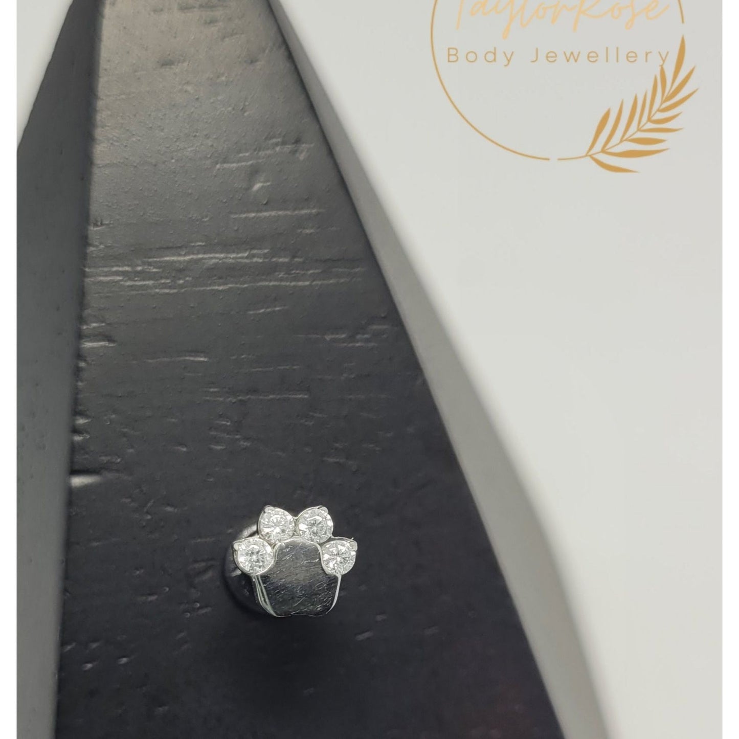Paw Print Titanium & Clear Cubic Zirconia Attachment