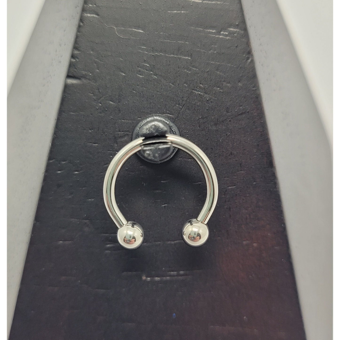 Classic Ball Titanium Circular Barbell.