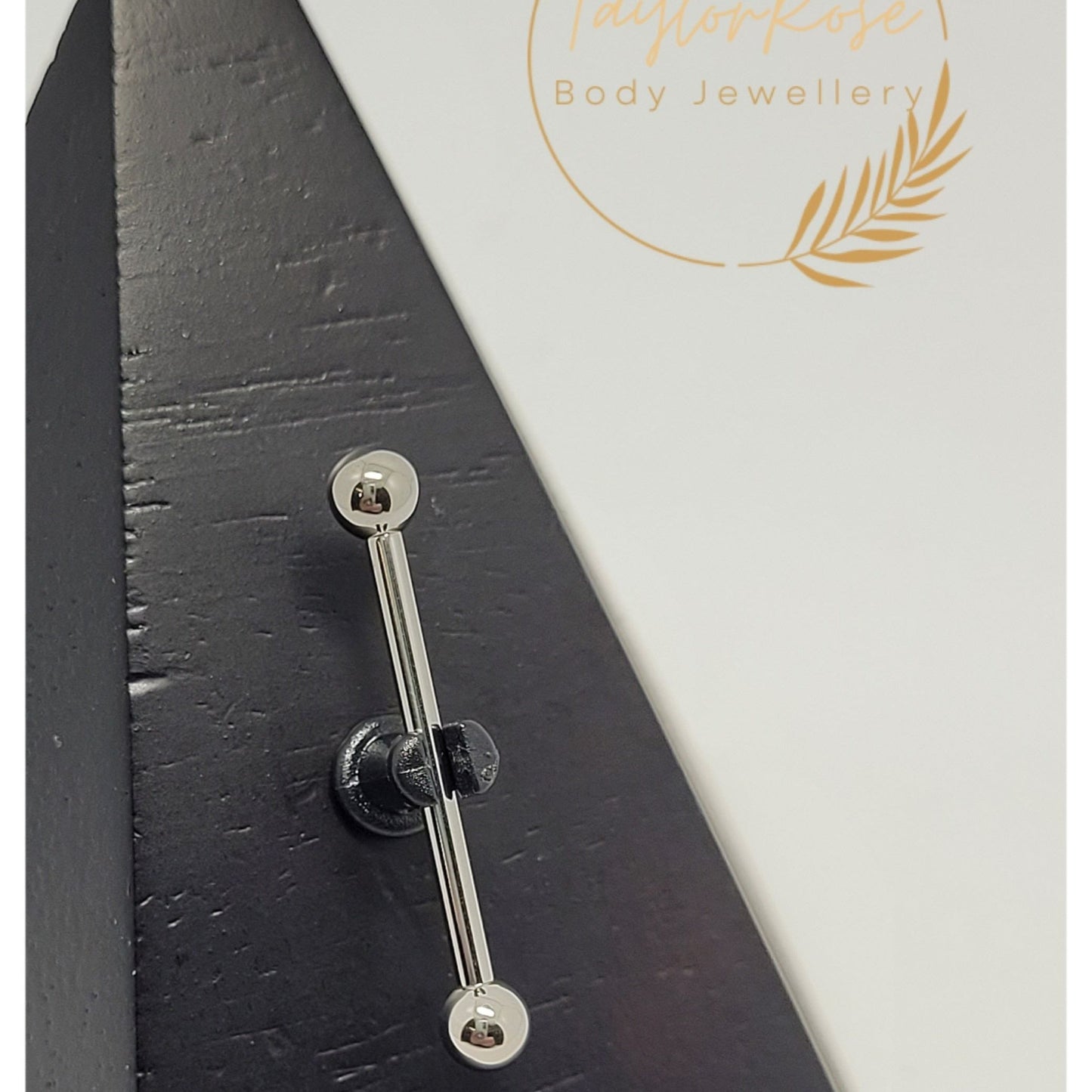 Classic Ball Titanium Straight Barbell.