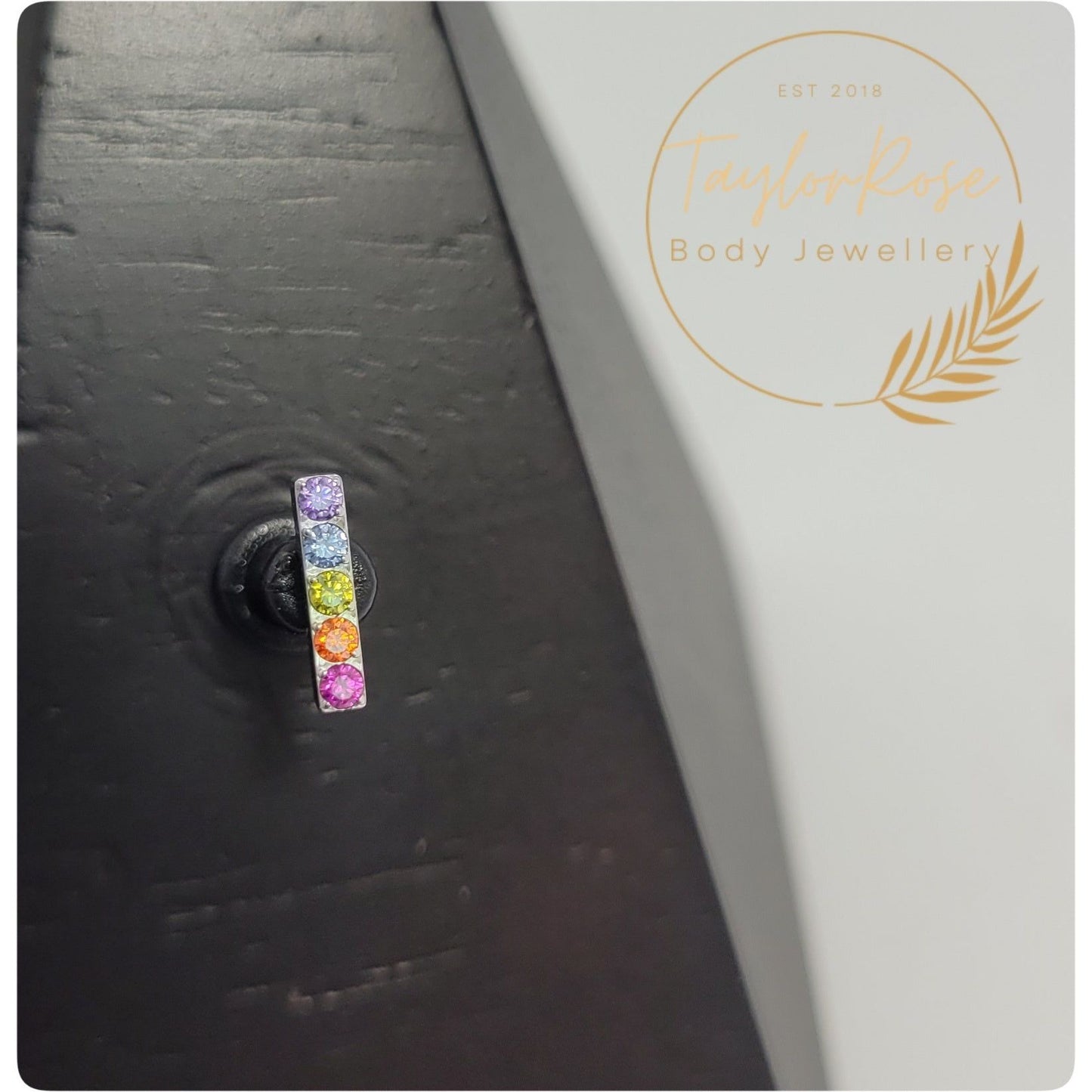 Rainbow Bar Cubic Zirconia & Titanium