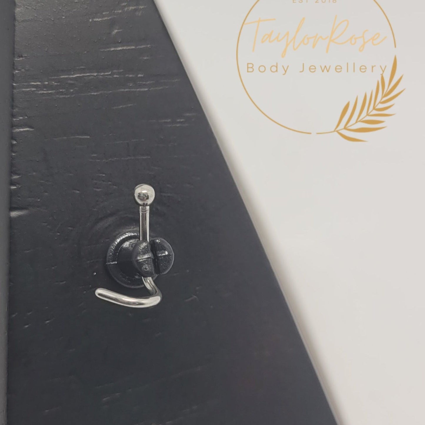 Classic Ball Titanium Nostril Screw
