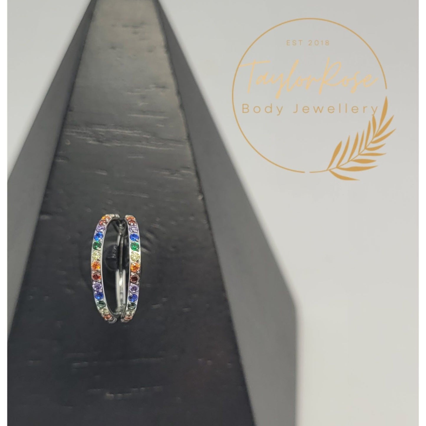 Rainbow Double Pavè Crystal Cubic Zirconia Hinged Clicker Ring.