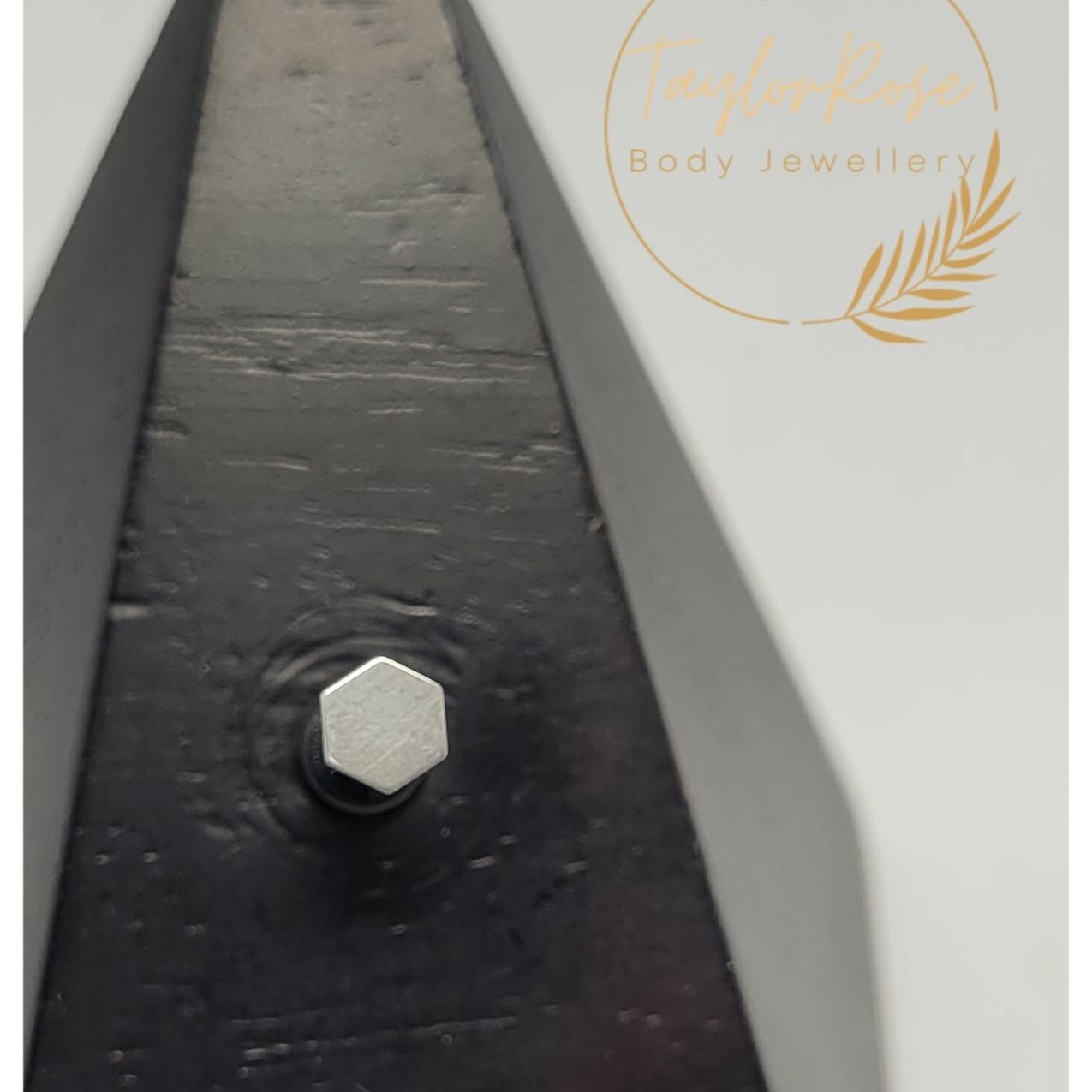 Hexaganal Solid Titanium Attachment