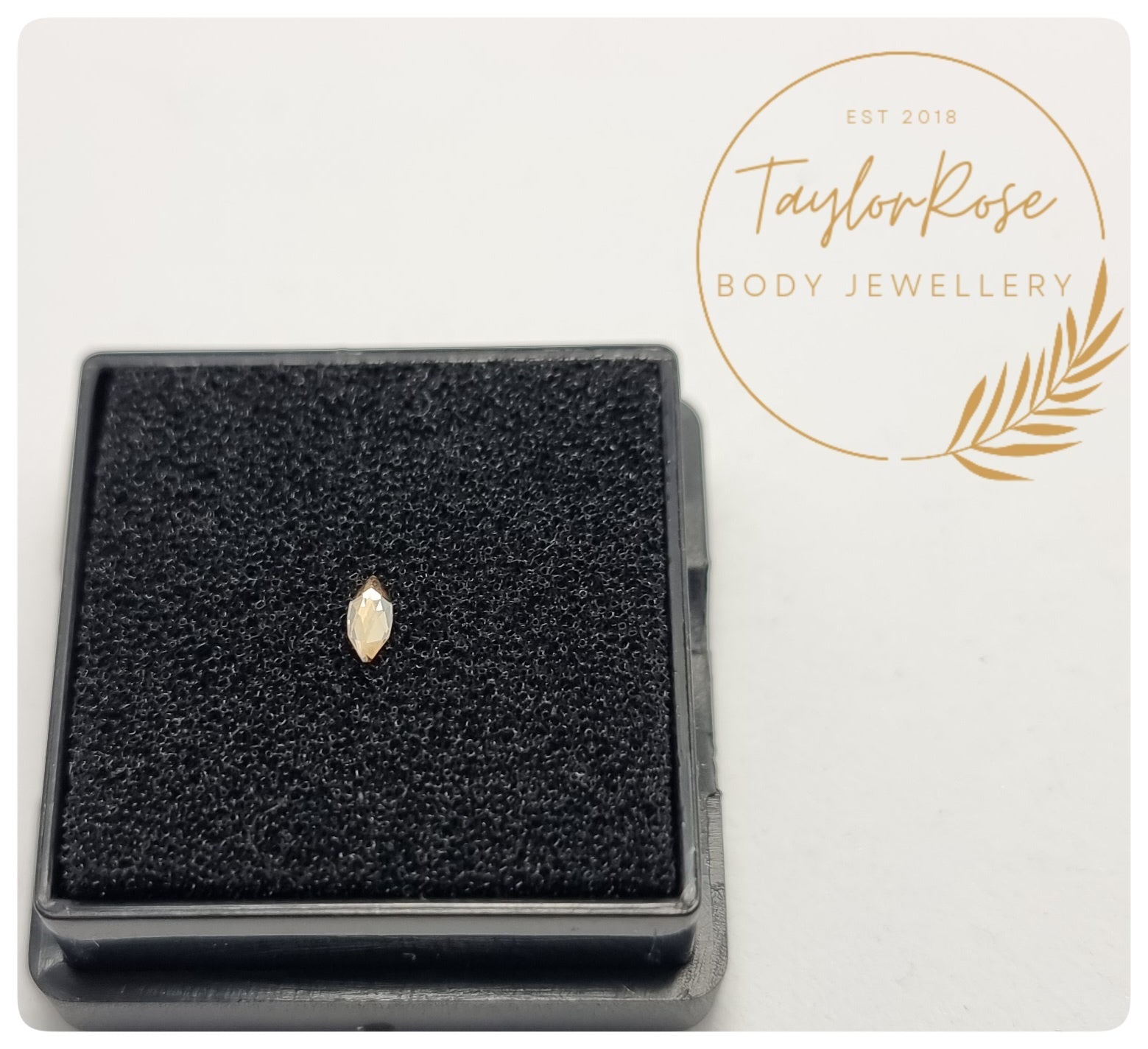 Champagne Marquise Tooth Gem