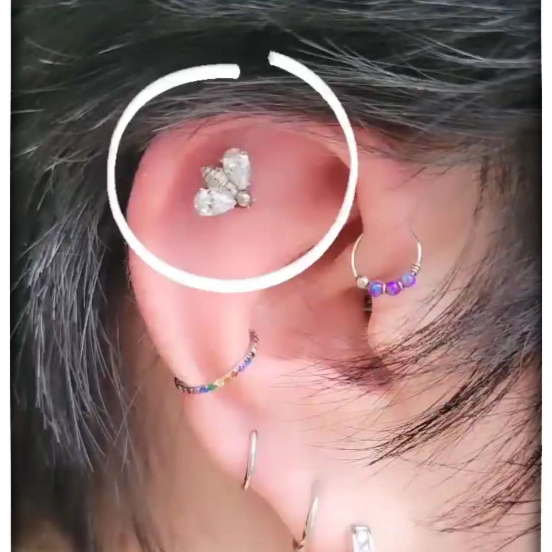 *Titanium & Clear Cubic Zirconia Crystal Bee