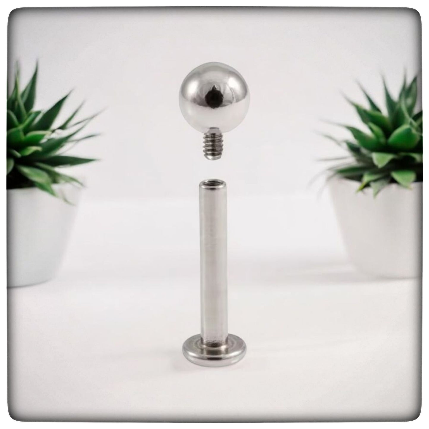 Titanium Ball Labret.