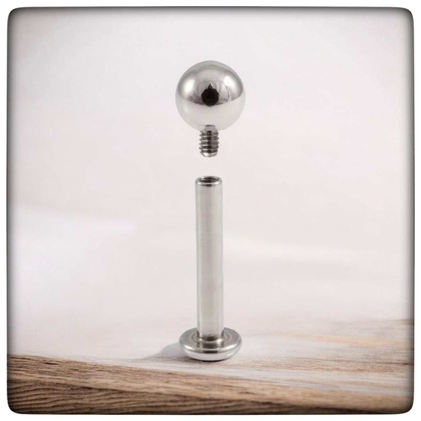 Titanium Ball Labret.