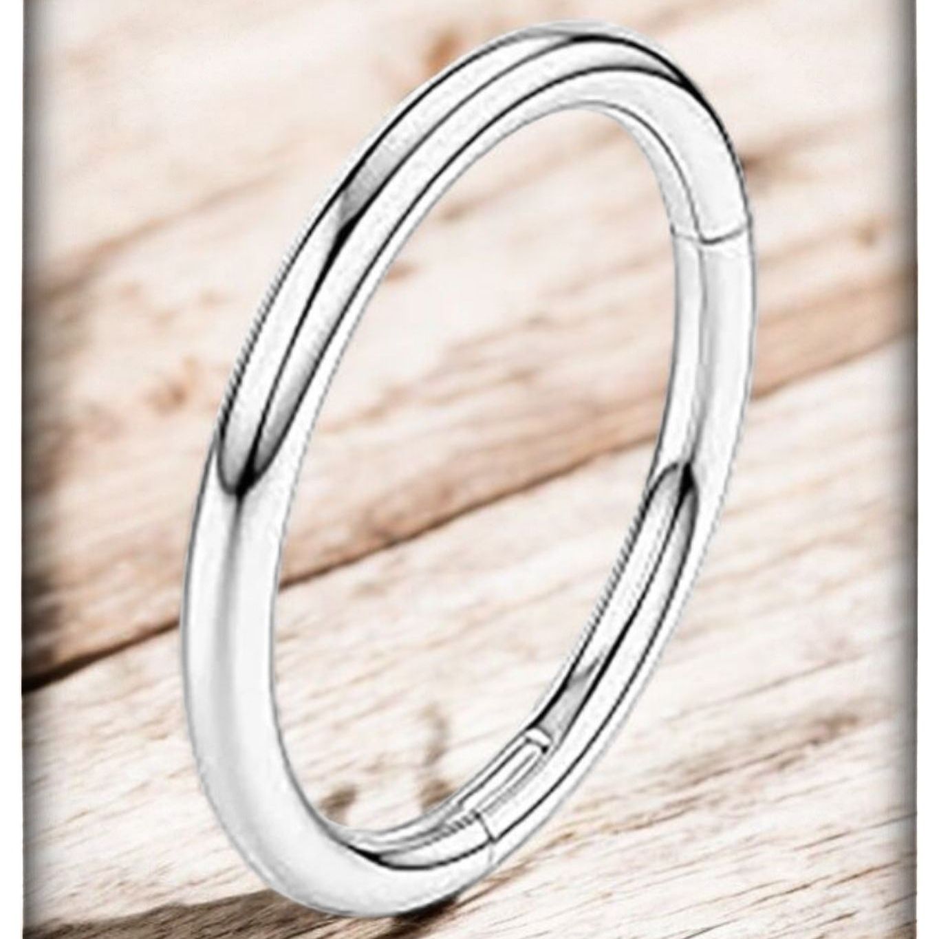 Titanium Hinged Nose Ring.