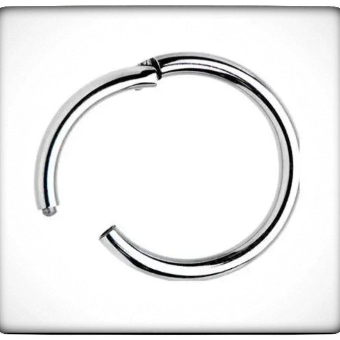 Titanium Hinged Nose Ring.