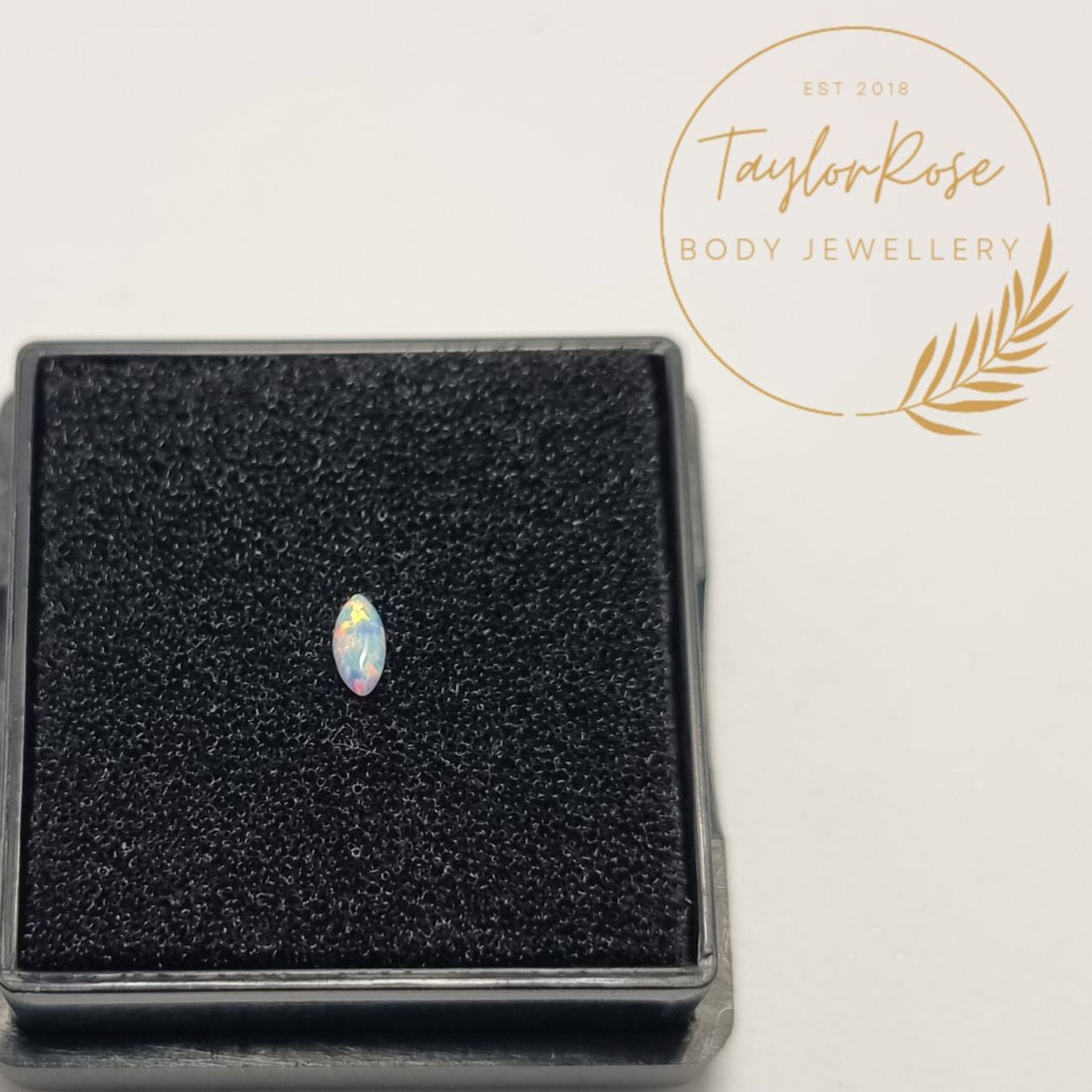 Lilac Marquise Opal Tooth Gem - OP87