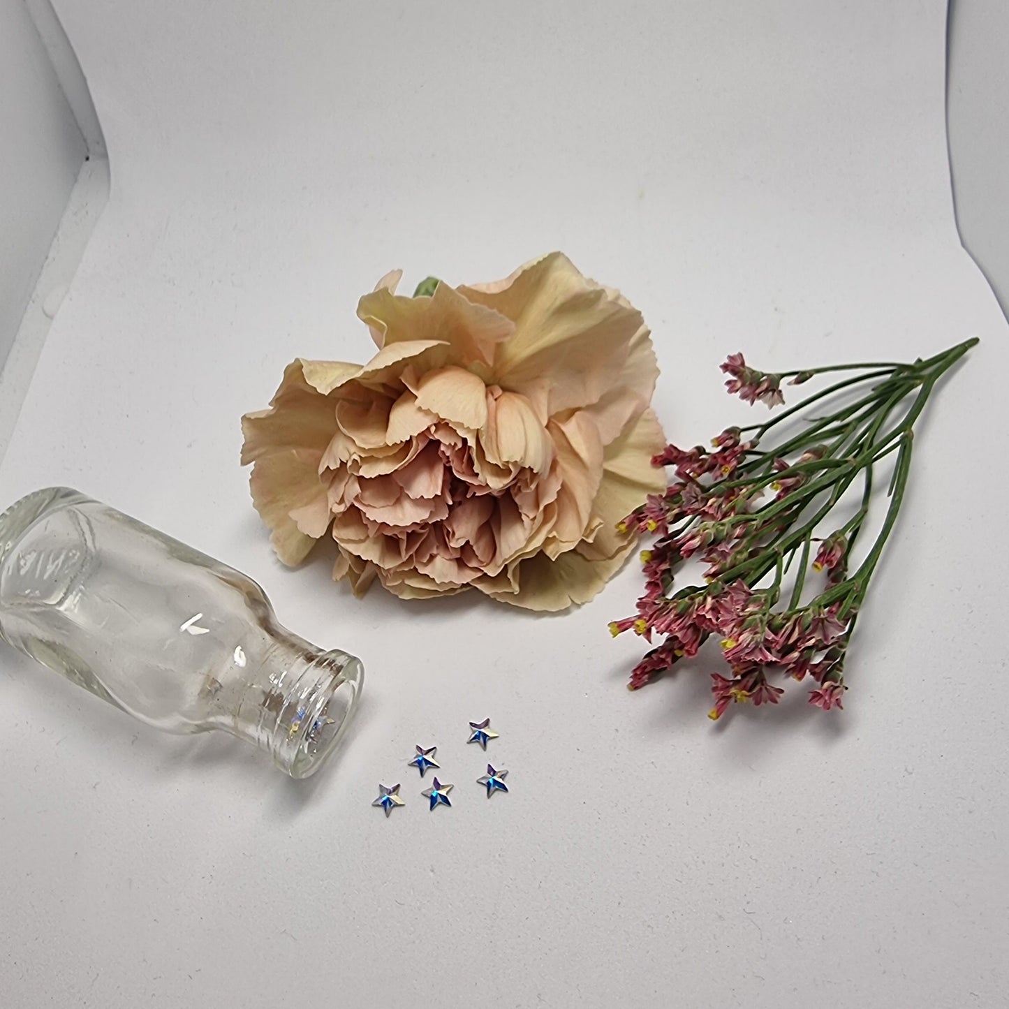 AB Opal Star crystal Tooth Gem