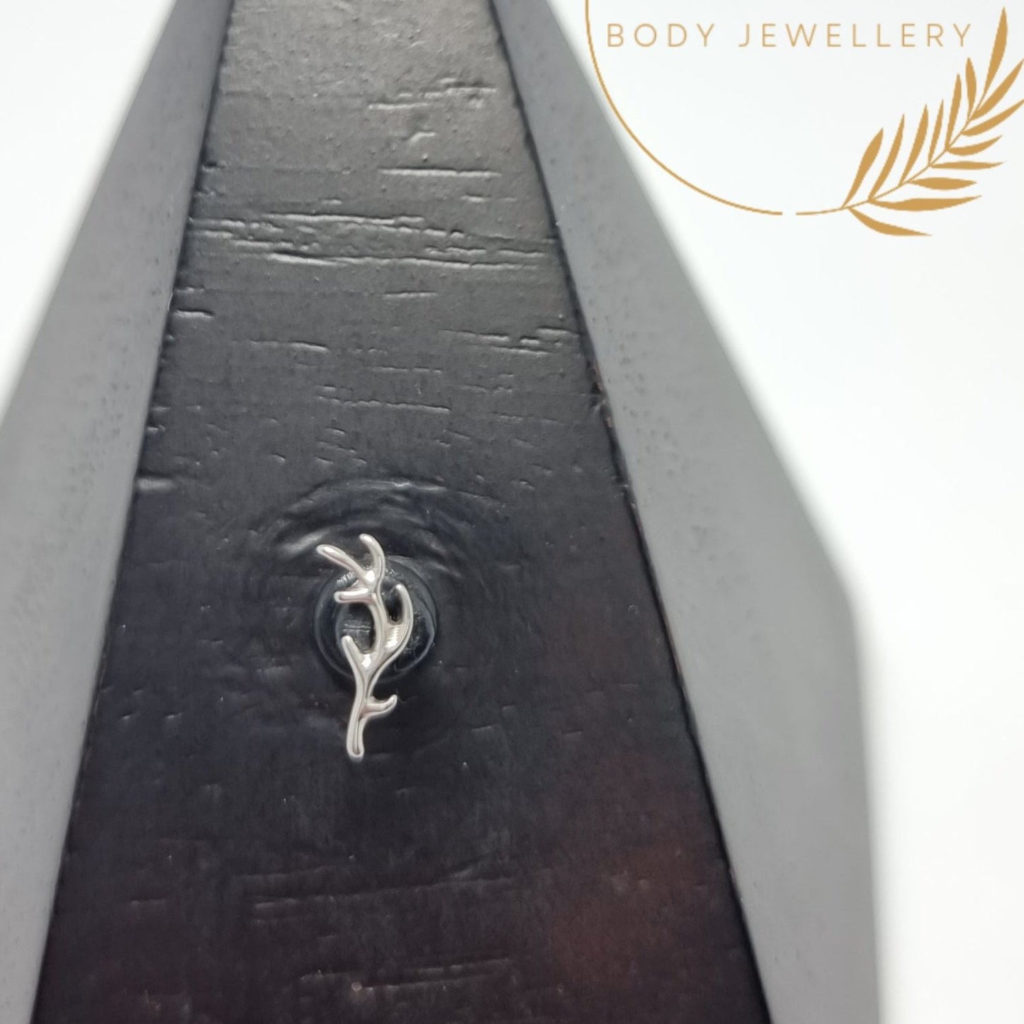 Classic Antler Solid Titanium Attachment