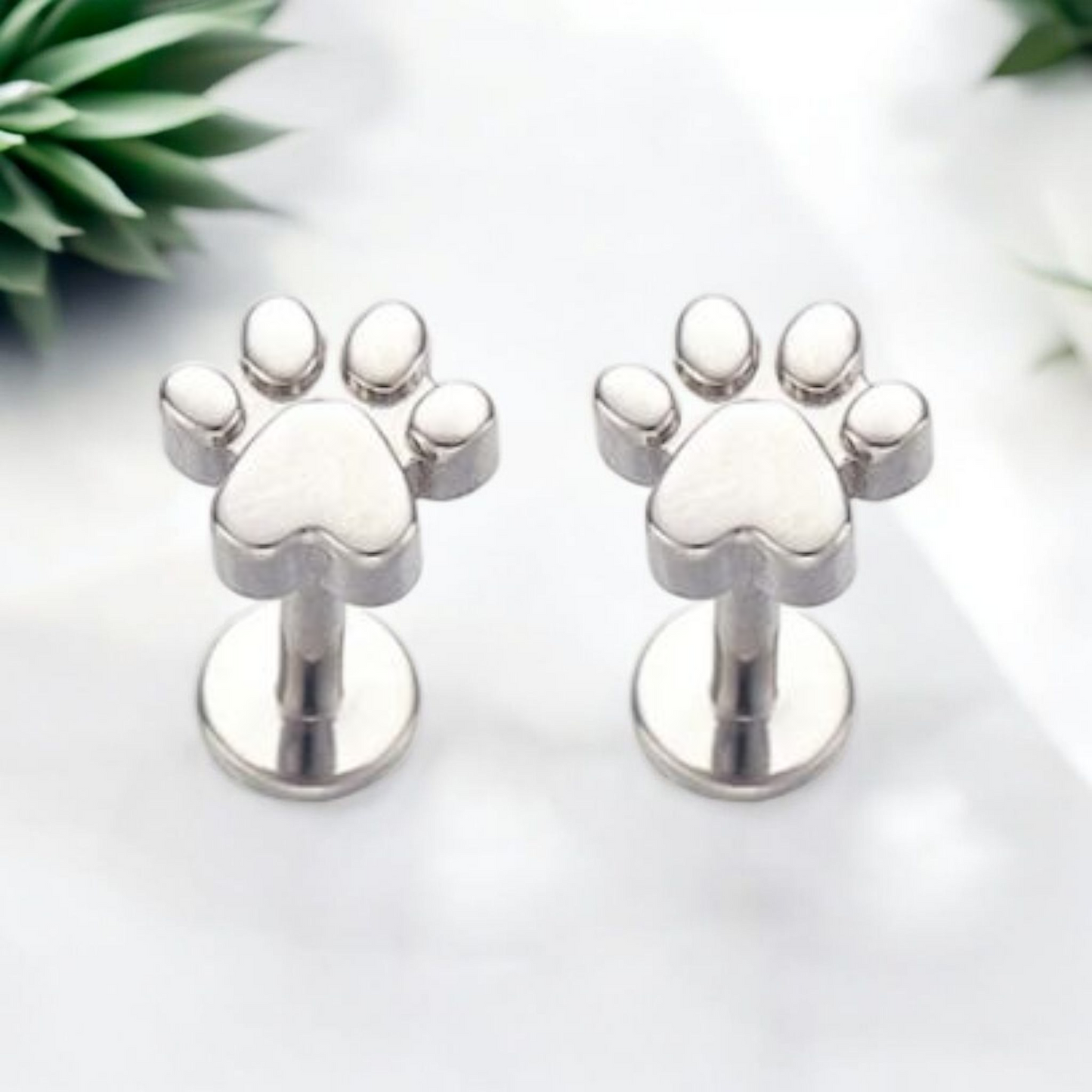 *Titanium Paw Print
