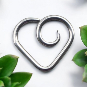 Classic Titanium Daith Heart.