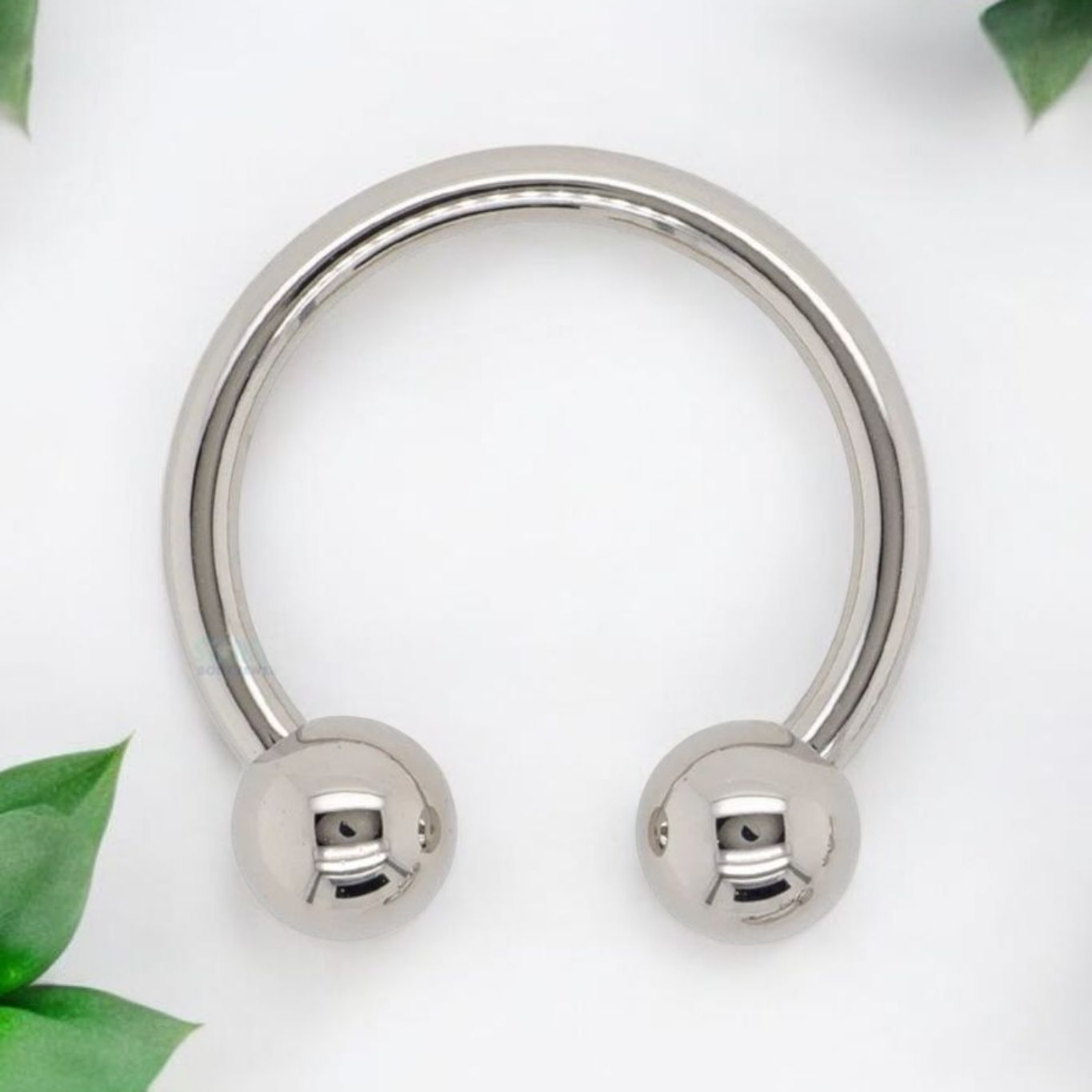 Classic Ball Titanium Circular Barbell.