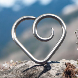 Classic Titanium Daith Heart.