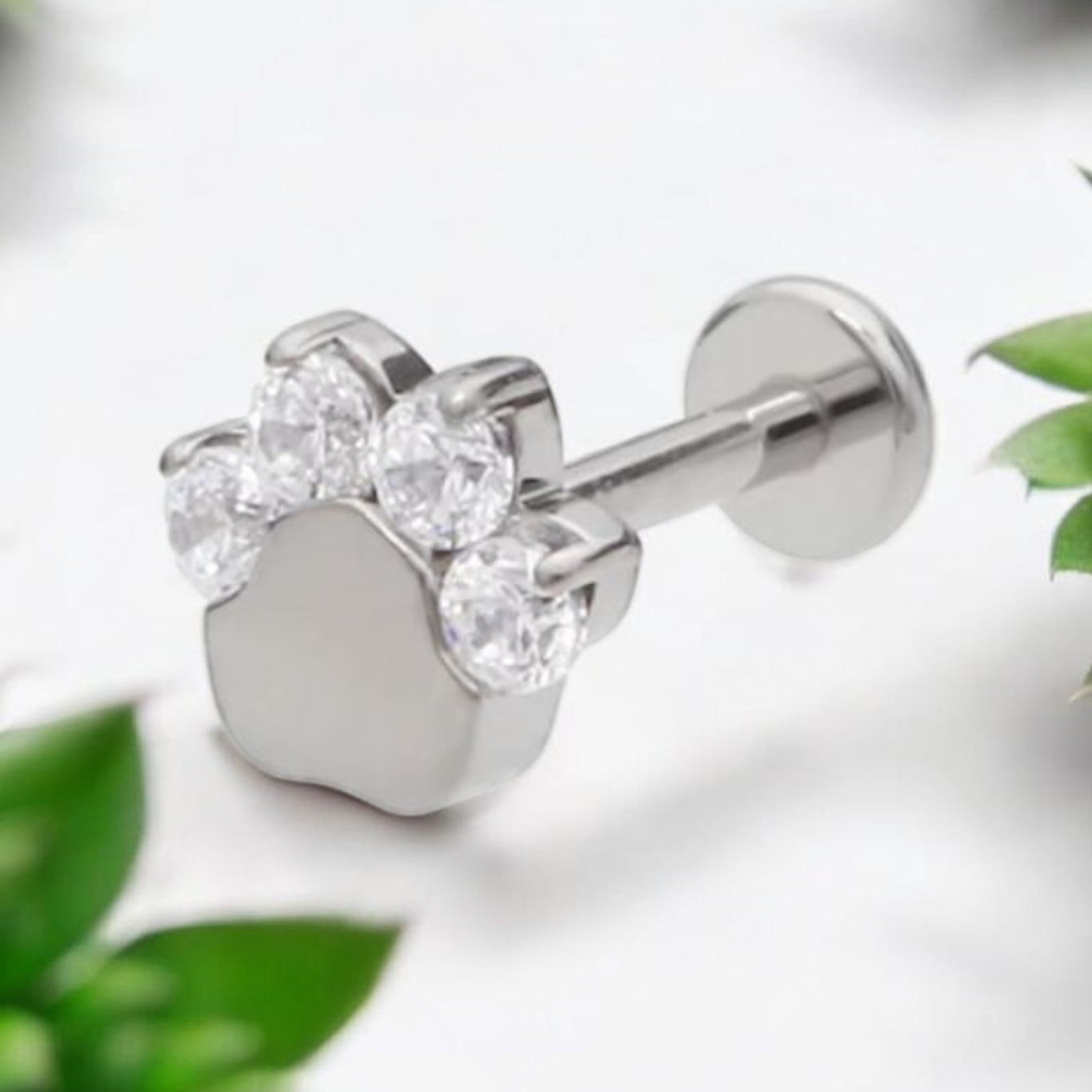 Paw Print Titanium & Clear Cubic Zirconia Earrings