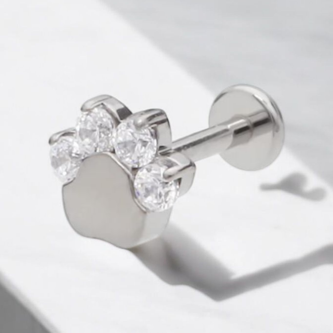 Paw Print Titanium & Clear Cubic Zirconia Earrings