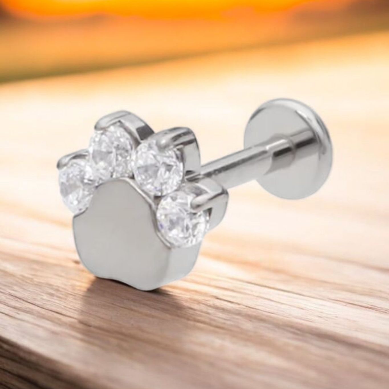 Paw Print Titanium & Clear Cubic Zirconia Earrings