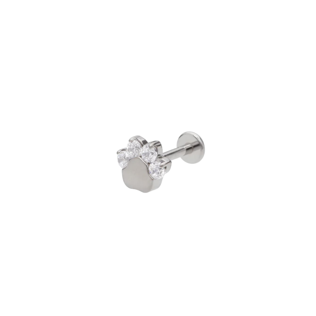 Paw Print Titanium & Clear Cubic Zirconia Earrings