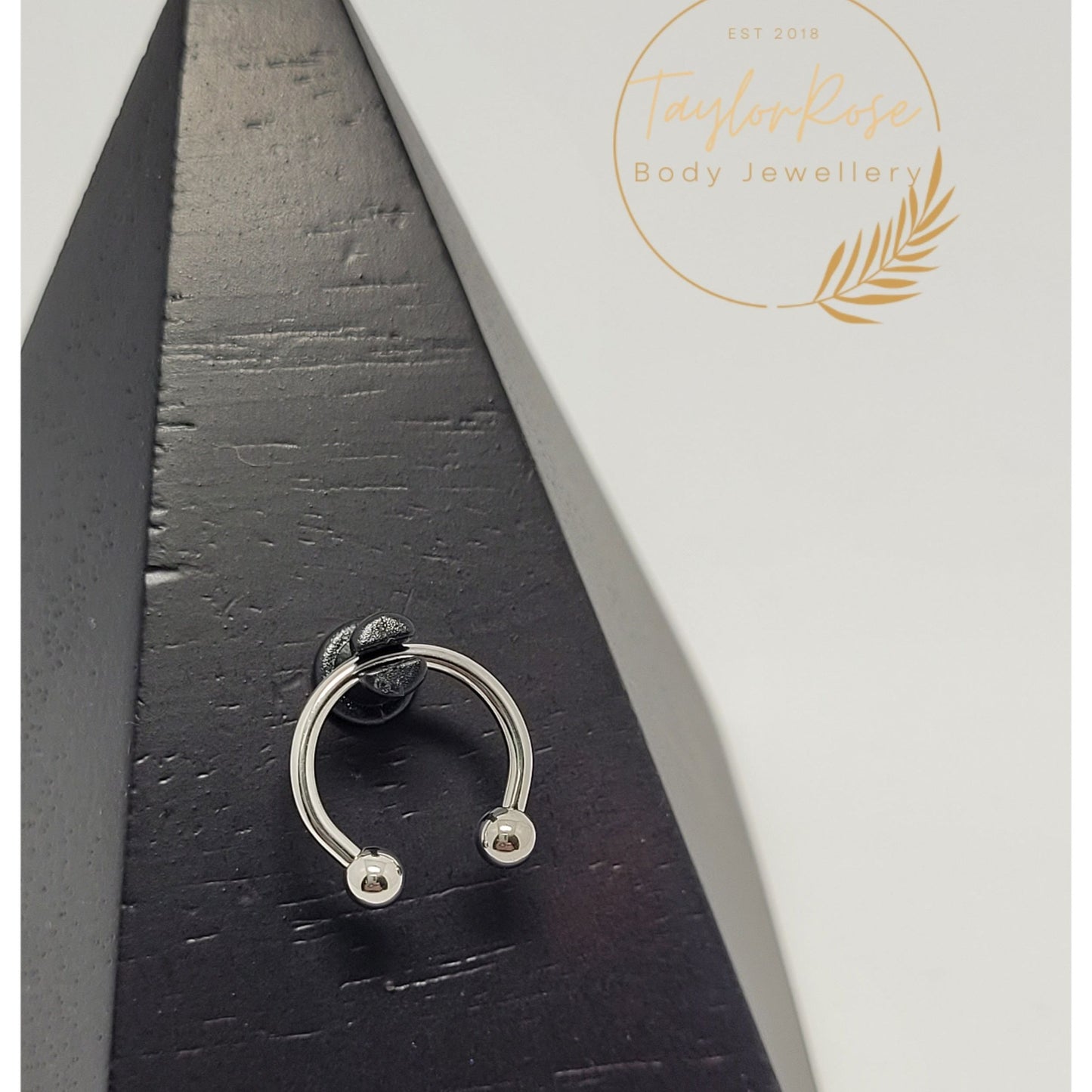 Classic Ball Titanium Circular Barbell 1.6mm