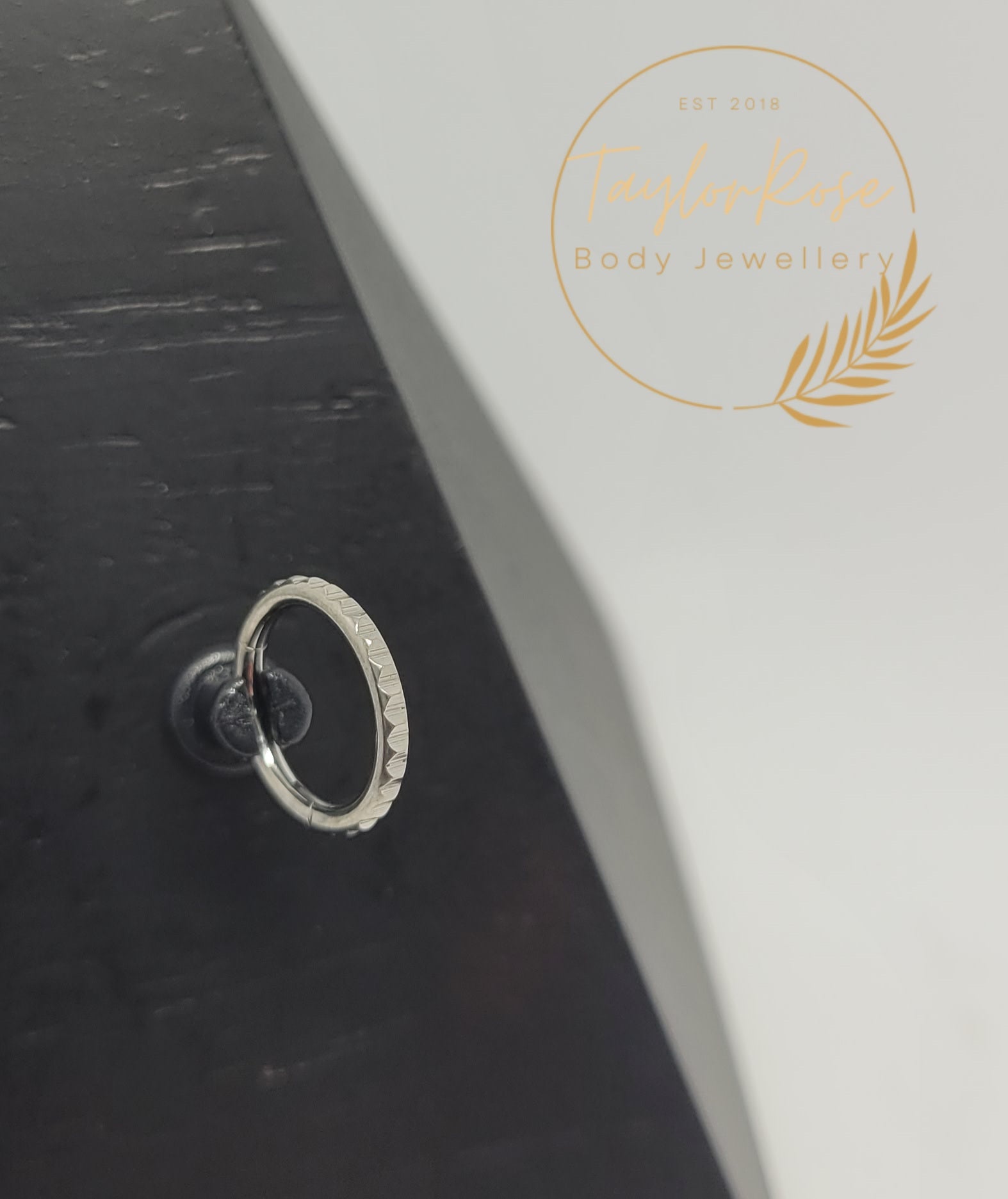 *Crystal Cut Titanium Hinged Ring