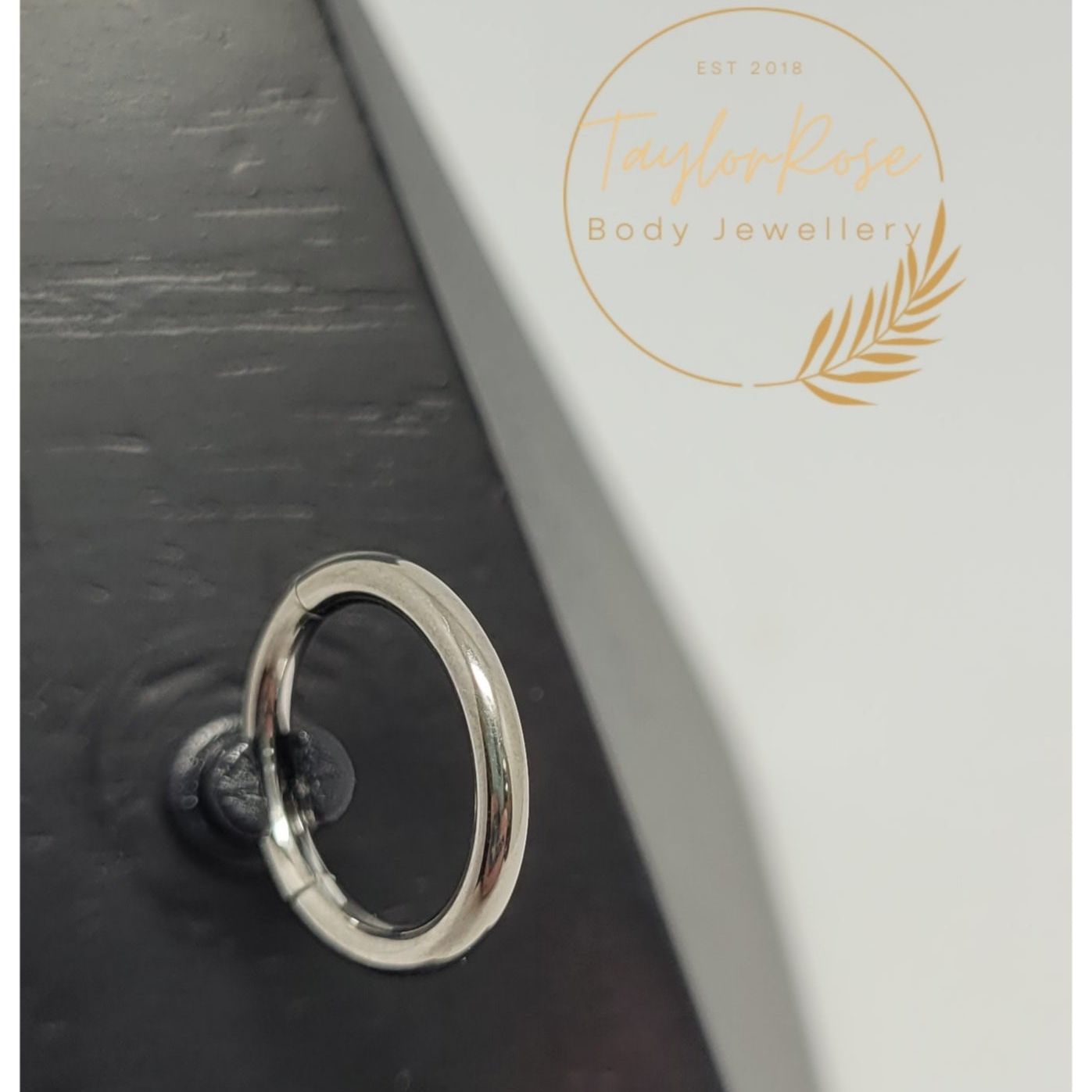 Classic Titanium Hinged  Ring
