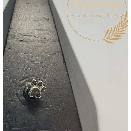 Paw Print Solid Titanium Attachment