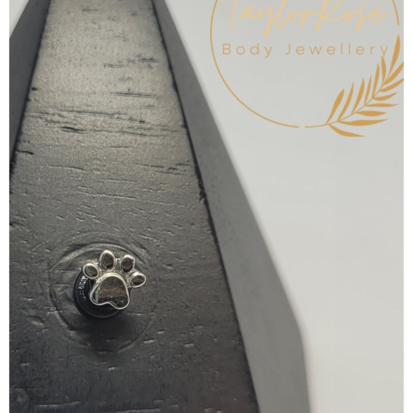 *Titanium Paw Print