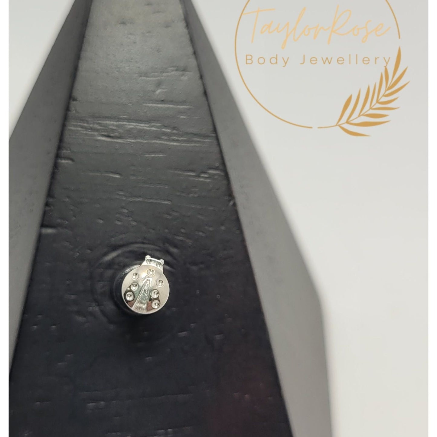 Lady Bird Solid Titanium Attachment