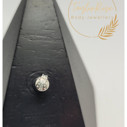 Lady Bird Solid Titanium Attachment